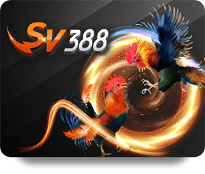 Slot666 คืนยอดเสีย โปรโมชั่นพิเศษสำหรับนักพนันที่ไม่ควรพลาด
